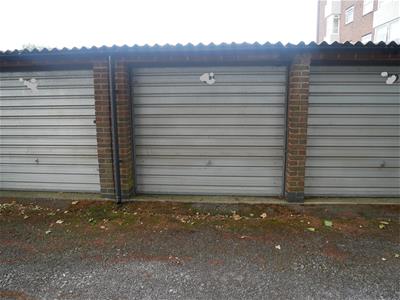 Picture 8